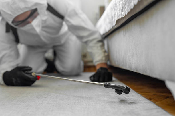 Professional Bed Bug Control technician working in Roanoke, AL